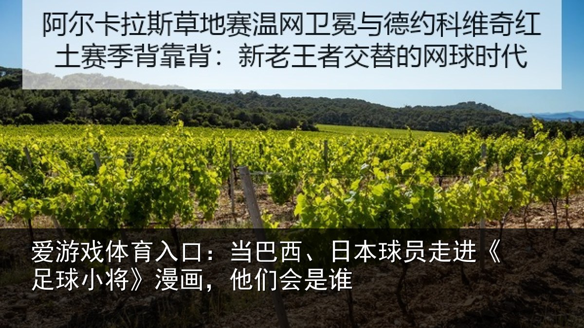爱游戏体育入口:当巴相关情况球小相关情况