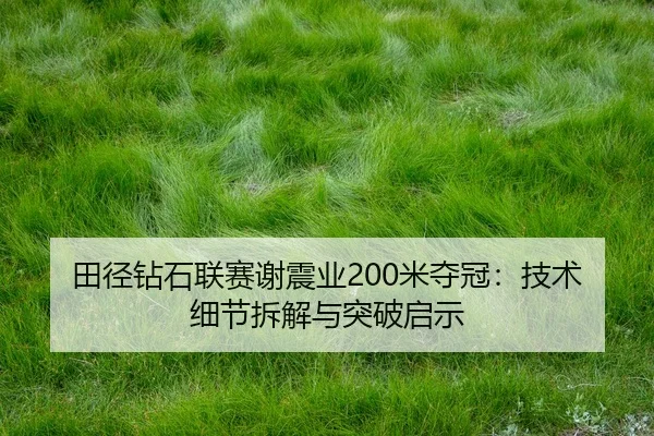 田径钻石联赛谢震业200米夺冠：技术细节拆解与突破启示