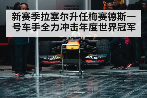 Formula 1 race action