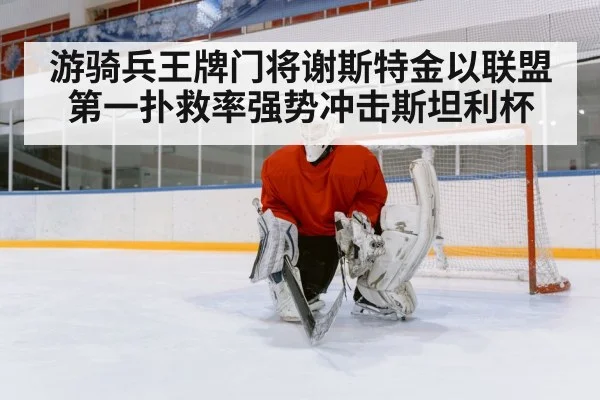 hockey goalie